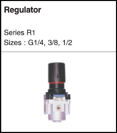 Regulator Regulator