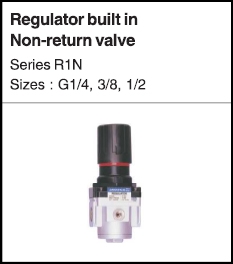 Regulator buiilt in non return valve Regulator buiilt in non return valve